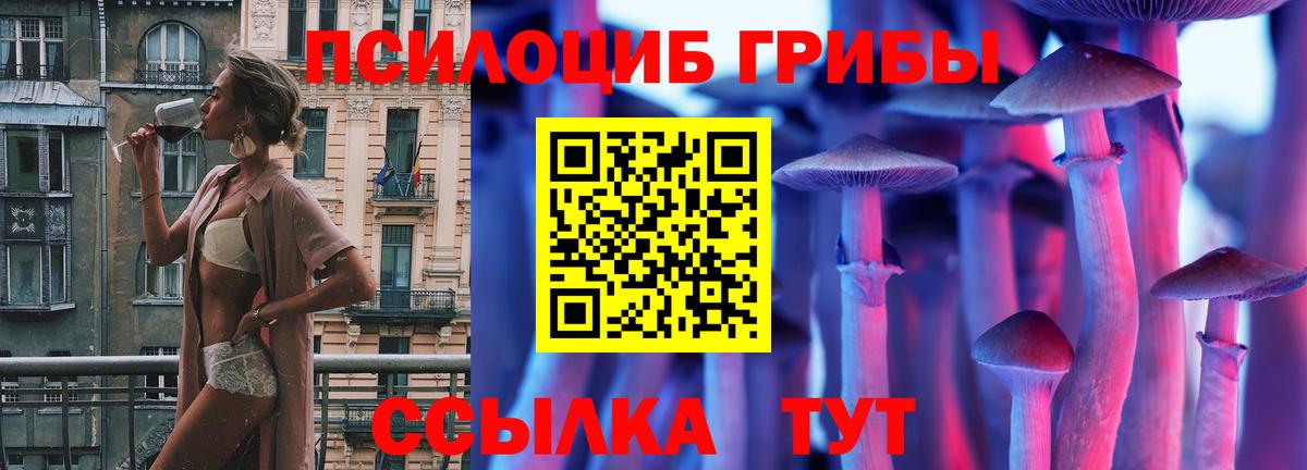 Галлюциногенные грибы мицелий  Вход с VPN  Медногорск  Галлюциногенные грибы Magic Shrooms 